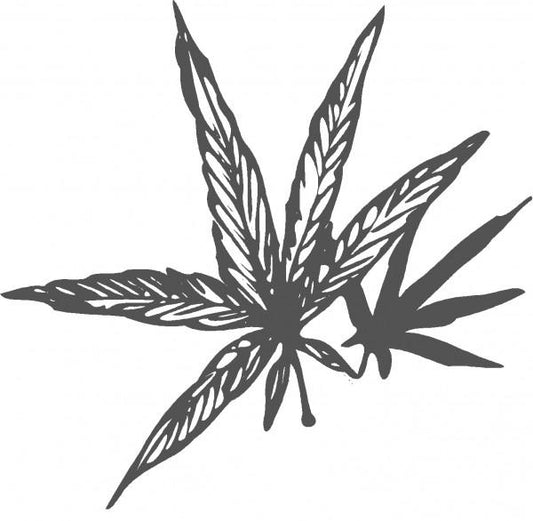 Hemp Seed Oil