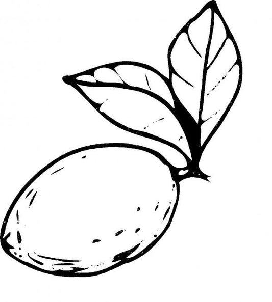 Lemon Essential Oil