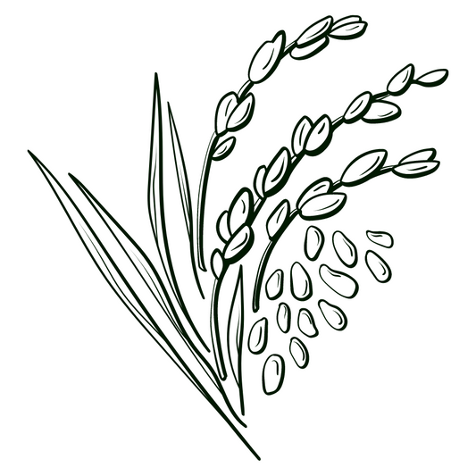 Rice Bran Oil