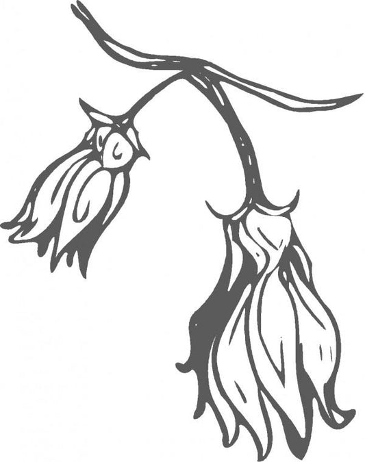 Ylang-Ylang Oil