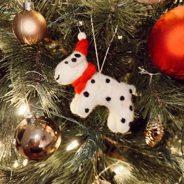 Dalmatian Christmas dog