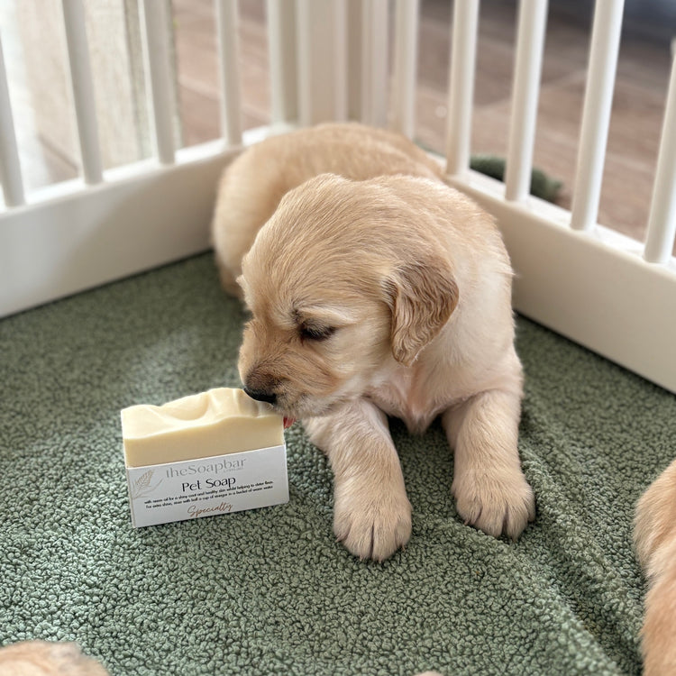 Pet Soap